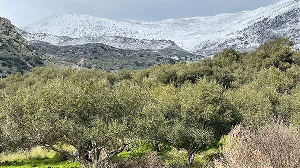 PLC-Berge-Schnee_600-340