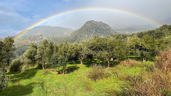 PL100-Regenbogen_600-340