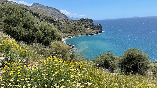 PLC-Home-Wilde-Küste_600-340-1